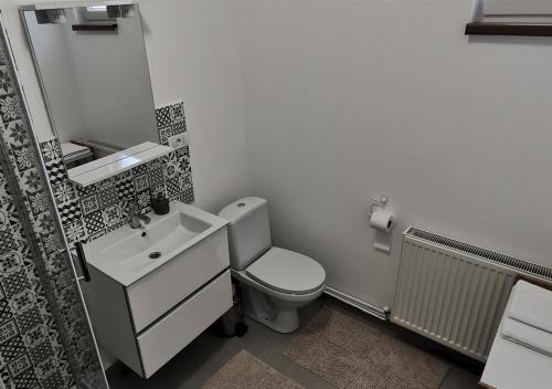 a small bathroom with a toilet and a sink at Neferprod Apartments - IS - CAM 07 in Timişoara