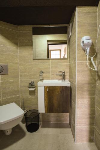 a bathroom with a sink and a toilet and a mirror at Hotel Fersped in Mavrovo