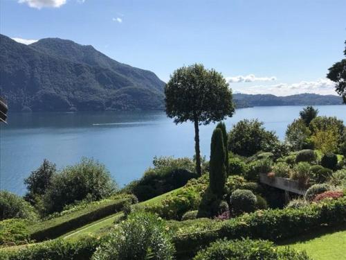 a view of a lake with a tree and bushes at St. Maurice smile in Ghiffa