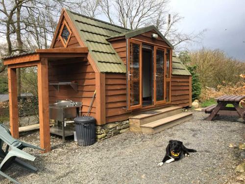 a dog laying in front of a small cabin at Cartmel Camping Pod in Cartmel