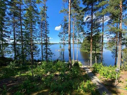 uma vista para um lago numa floresta com árvores em Holiday Home Tipuniemi by Interhome em Vähä Evo
