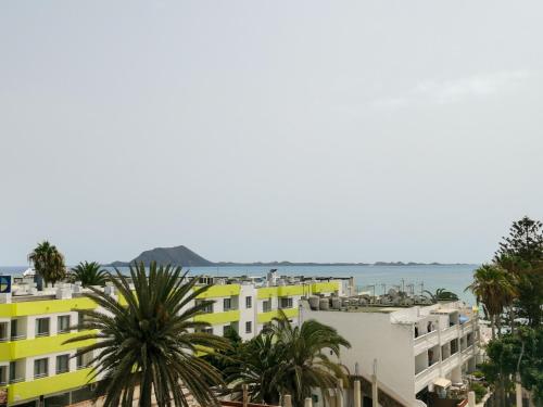 a view of a city with palm trees and buildings at La Clavellina in Corralejo