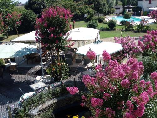 un jardín con flores rosas, mesas y sombrillas en Chambres d'hôtes Au Clos de Beaulieu, en Bossée