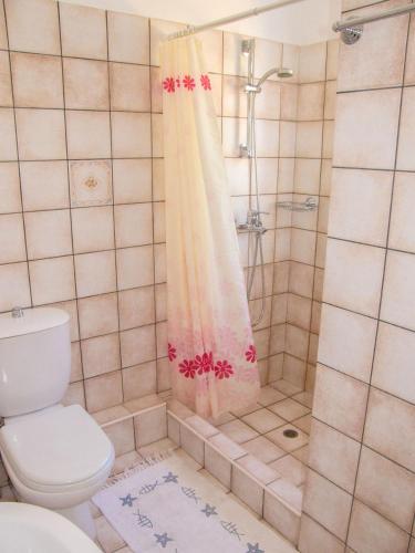 a bathroom with a shower and a toilet at Villa Vigla in Kalami