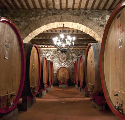 a row of wine barrels in a cellar with a chandelier at Colle al Matrichese - Historic Winery in Montalcino