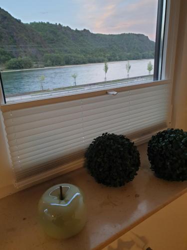 a window with two potted plants and a green apple at Rheingold in Hirzenach
