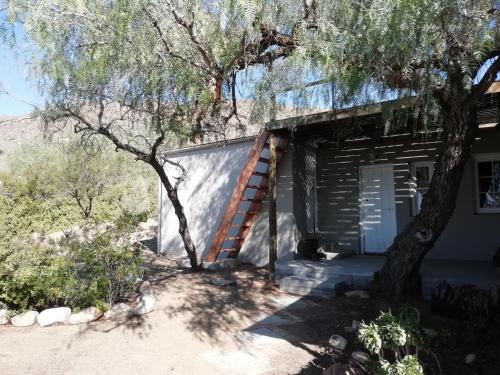 a building with a staircase next to a tree at The Karoo Prinia in Prince Albert