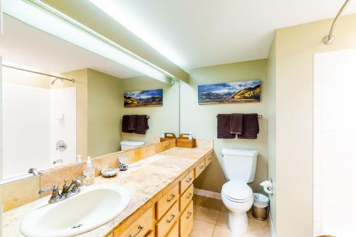 łazienka z umywalką i toaletą w obiekcie Happy Thoughts w mieście Telluride