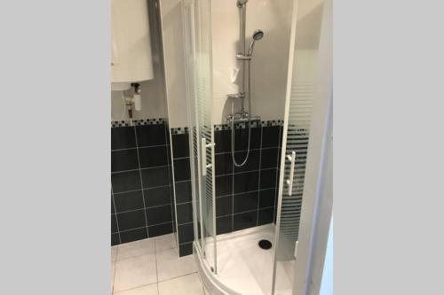 une douche avec une porte vitrée dans une salle de bain dans l'établissement L alysé, à Charleville-Mézières