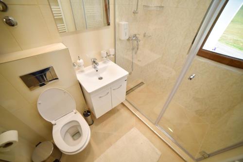 Un baño con inodoro, ducha y lavabo. en Zlatibor Hills Afrodita & Spa, en Zlatibor