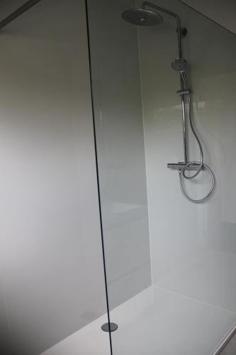 a glass shower with a shower head in a bathroom at Huis Ter Duin in Koksijde