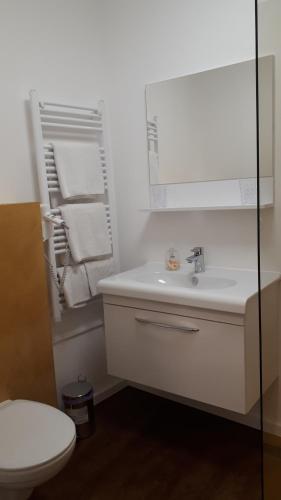 łazienka z umywalką, toaletą i ręcznikami w obiekcie Gasthof-Pension Schwarzer Bär w mieście Waidhofen an der Ybbs