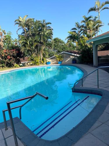 a large swimming pool with blue water and palm trees at Sole's Leap in Scottburgh
