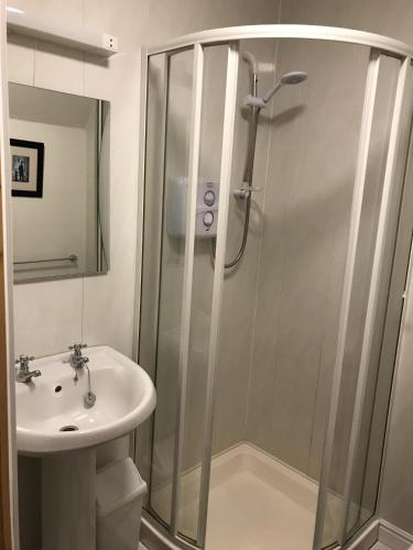 a bathroom with a shower and a sink at Dillon's Cottage in Monneill