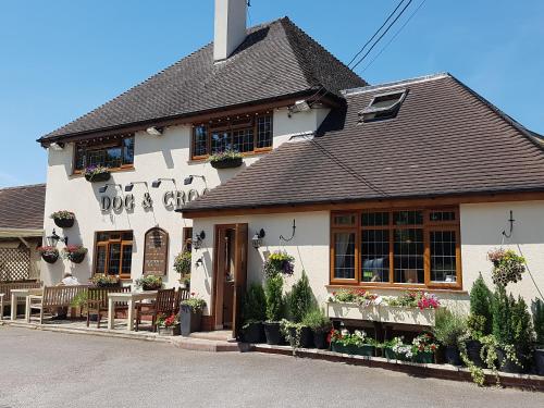 a white building with flowers in front of it at The Dog & Crook in Romsey