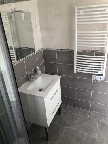 een badkamer met een wastafel en een spiegel bij Appartement Dulac in Seurre