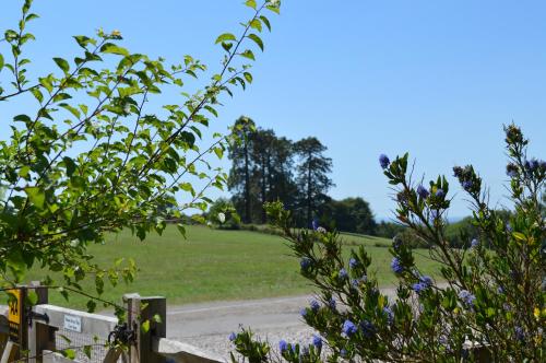 uma vista para um campo com árvores e flores em East Lodge em Bolney