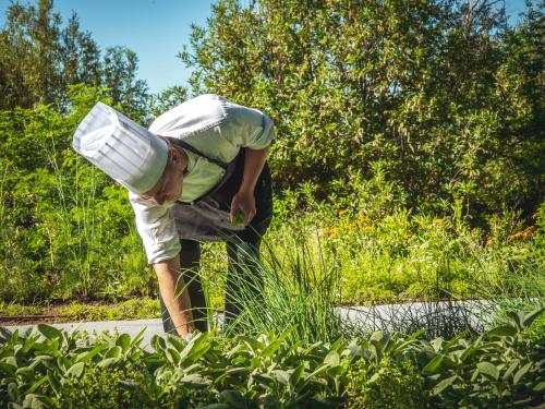 a man bending over in a field of tall grass at Phi Hotel Piajo in Nembro