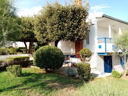 Galeriebild der Unterkunft Punta Skala Nena apartman in Petrcane