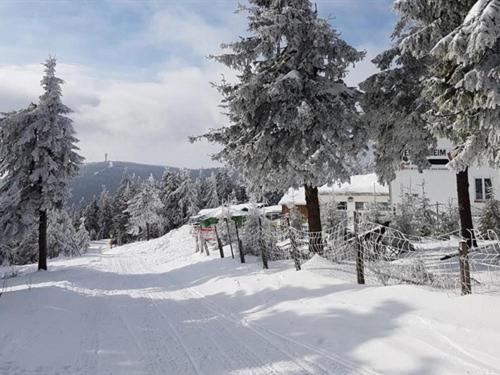 uma estrada coberta de neve com árvores e uma casa em Fichtelberghütte em Kurort Oberwiesenthal