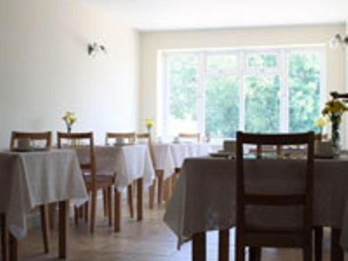 un comedor con mesas y sillas y una ventana en Frome Dale, en Wool