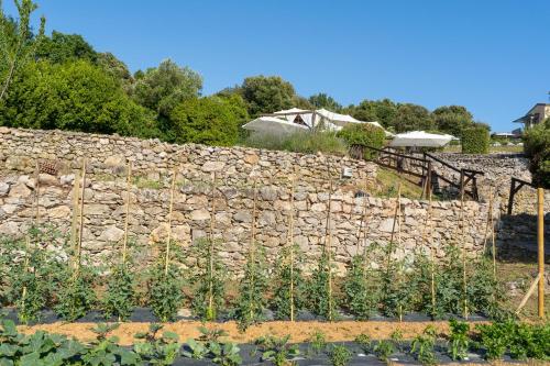 a stone wall next to a garden with plants at Golfo dei Poeti Relais & Spa in Ameglia