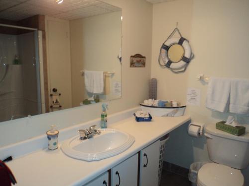 a bathroom with a sink and a toilet and a mirror at Gite Chute Couette Cafe in Notre-Dame-du-Portage