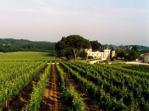 un champ de vignes avec une maison en arrière-plan dans l'établissement La France - Gite Chateau, à Beychac-et-Caillau