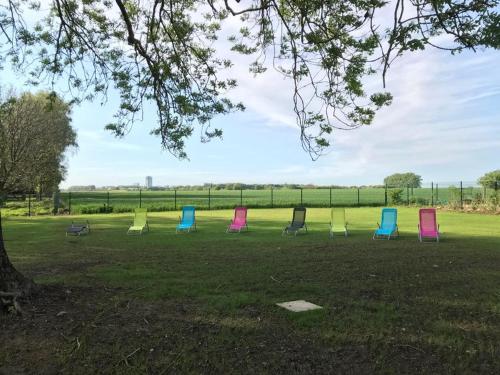 una fila de sillas coloridas sentadas en un campo en Gîtes du Frêne, en Wattignies