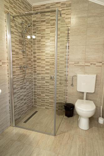 a bathroom with a toilet and a glass shower at CASA ALEXANDRA in Galeş