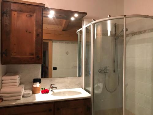 a bathroom with a sink and a shower at Chalet Bormino 5 in Bormio