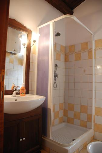 a bathroom with a sink and a shower at Le case all'arco in Castropignano