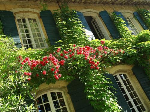 Domaine de Rhodes - 5 Chambres et 7 locations de vacances photo 51