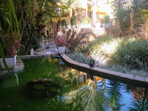a garden with a pool of water and plants at 3 Palmeiras Guest Lounge in Miguel Pereira