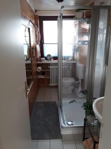uma casa de banho com um chuveiro, um WC e um lavatório. em Ferienwohnung Hummer im Haus Daheim em Helgoland
