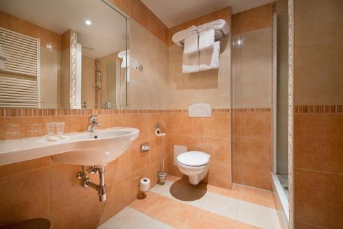 a bathroom with a sink and a toilet at Maxmilian Lifestyle Resort in Loučeň