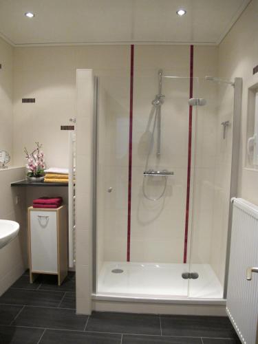a shower with a glass door in a bathroom at Apartment Horn in Pirna