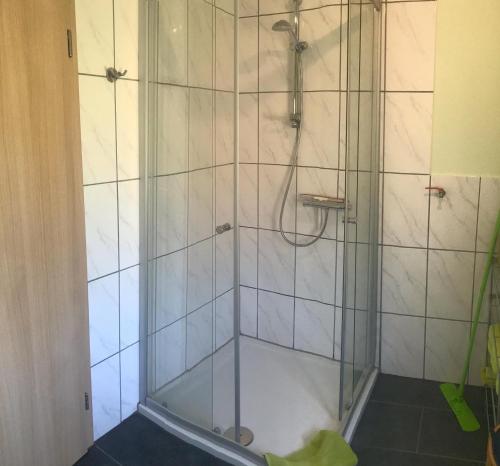 a shower with a glass door in a bathroom at Ferienhaus im Ostertal in Sankt Wendel