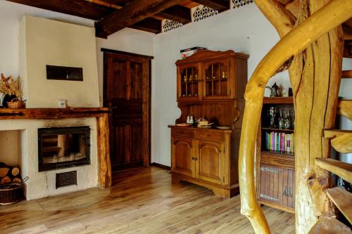 a living room with a fireplace and a book shelf at Wiejski Dworek in Solina