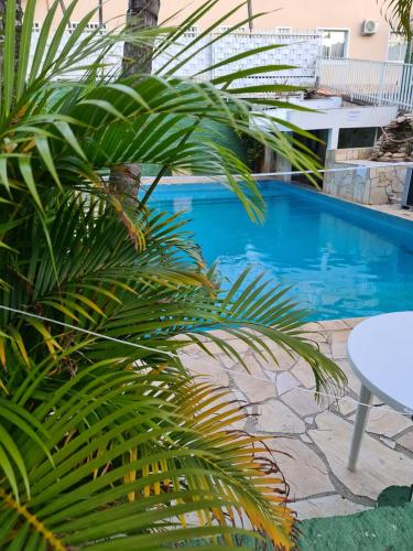 a palm tree in front of a swimming pool at VITORIA GARDEN in Águas de Lindóia