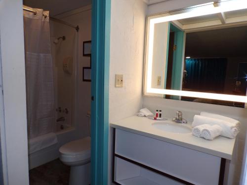 Ένα μπάνιο στο Dover Inn and Suites