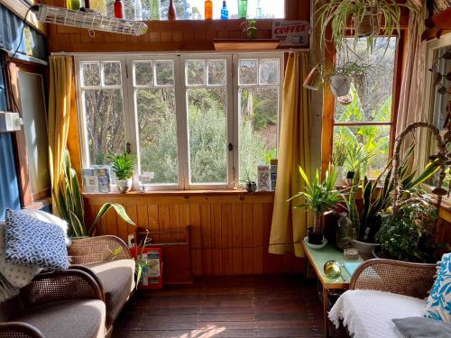 a room with a large window and plants in it at Waiheke Island Guesthouse in Ostend