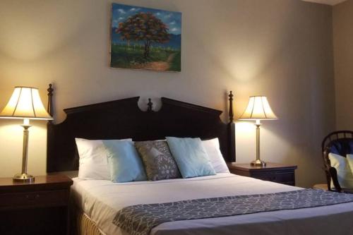 a bedroom with a bed with two lamps and a tree at 3 rooms house in Managua