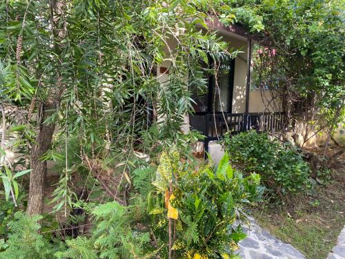 Pokhara Cottageにある庭