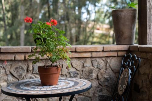 a table with a potted plant on a patio at Villa Toscana ValQuirico Lofts & Suites Hotel Boutique in Santeagueda