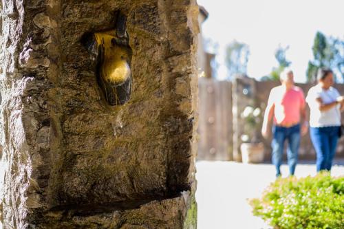 a beetle hanging from the side of a tree at Villa Toscana ValQuirico Lofts & Suites Hotel Boutique in Santeagueda