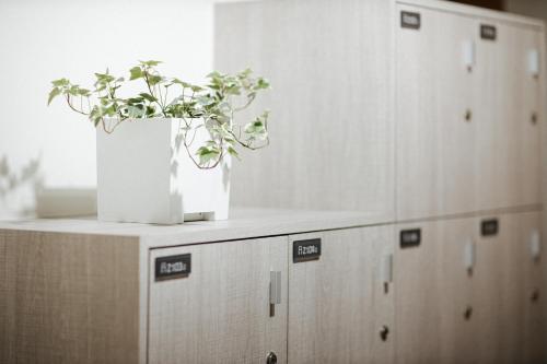 a pot of plants sitting on top of cabinets at 阿信輕旅 in Tainan