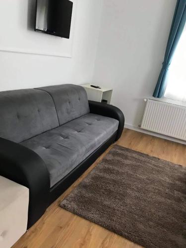 a living room with a gray couch and a rug at Villa Campana in Siófok