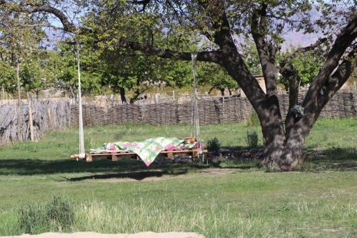 Gallery image of Jurten Camp Almaluu in Tong