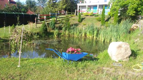 a blue boat in a pond with flowers in it at Max in Żukowo